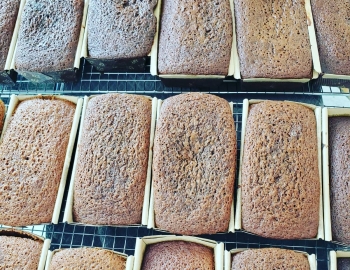 120926723_3110156322544457_2693219339531845662_o