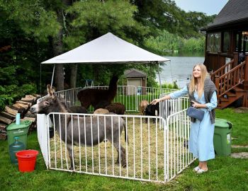 PBL-CCCShabbatUnderStarsJuly2023-10115