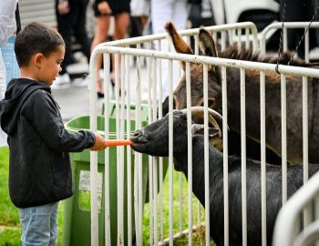 PBL-CCCShabbatUnderStarsJuly2023-10246